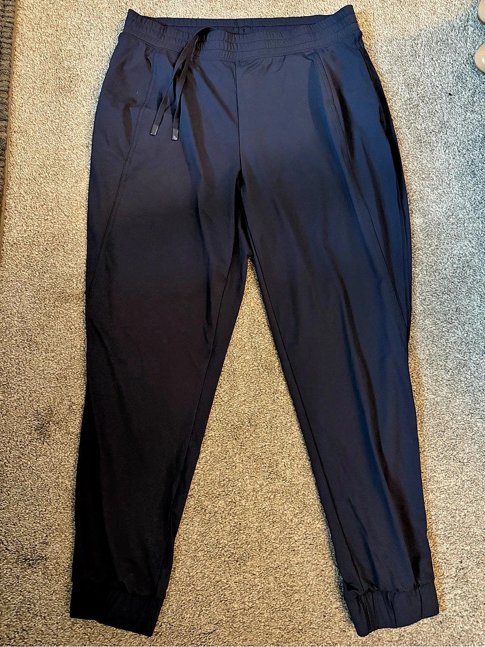 Avalanche Women’s Nylon Jogger Pants Navy Size Large Like New Gorpcore Athletic